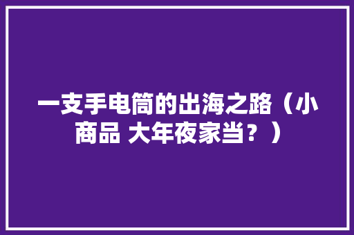 一支手电筒的出海之路（小商品 大年夜家当？）