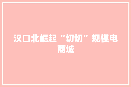 汉口北崛起“切切”规模电商城
