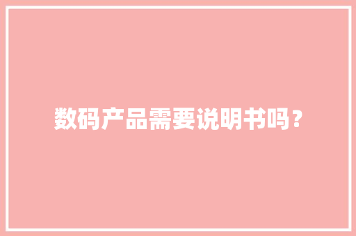 数码产品需要说明书吗？