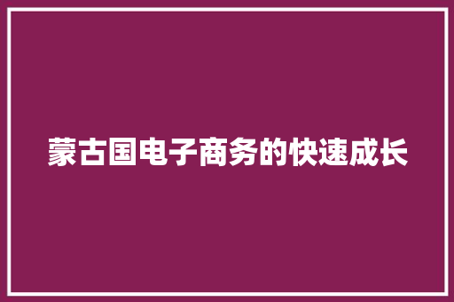 蒙古国电子商务的快速成长