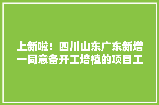 上新啦！四川山东广东新增一同意备开工培植的项目工程清单51项