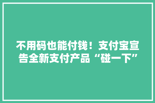 不用码也能付钱！支付宝宣告全新支付产品“碰一下”