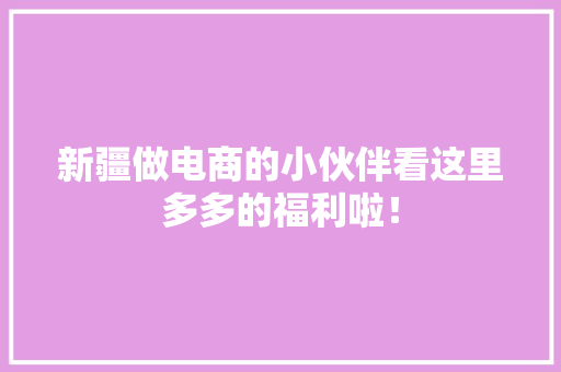 新疆做电商的小伙伴看这里多多的福利啦！