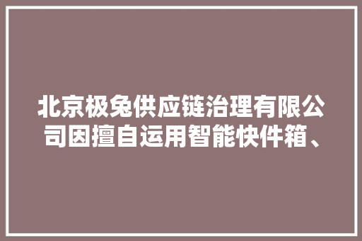北京极兔供应链治理有限公司因擅自运用智能快件箱、快递做事站等办法送达快件被处以罚款200.0