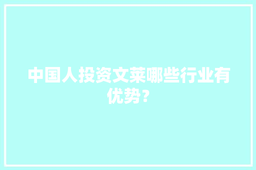中国人投资文莱哪些行业有优势？