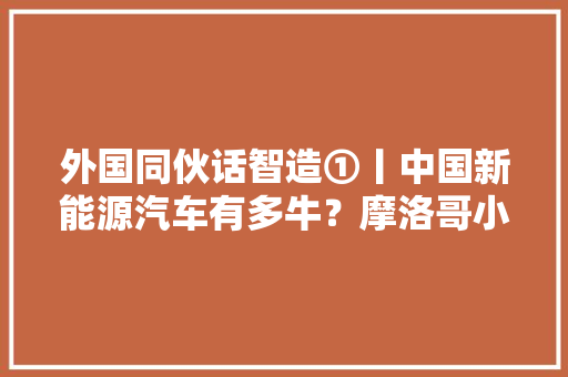 外国同伙话智造①丨中国新能源汽车有多牛？摩洛哥小伙西蒙：震撼到了！