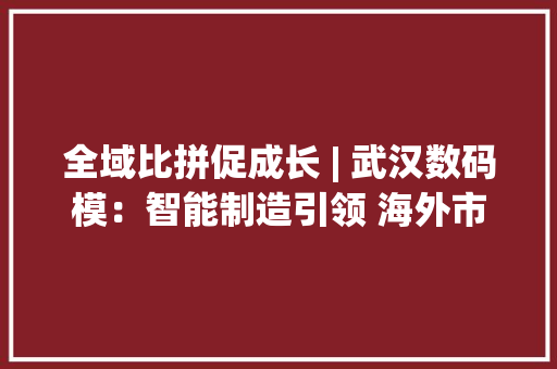 全域比拼促成长 | 武汉数码模：智能制造引领 海外市场成新增长点