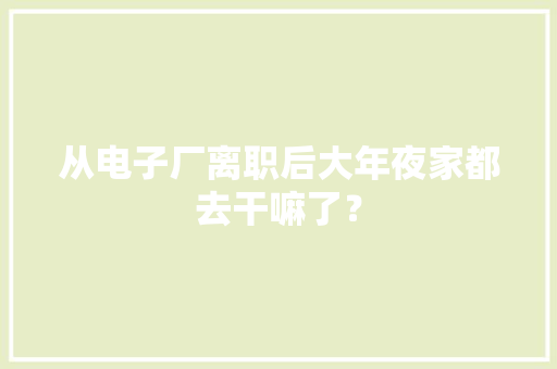 从电子厂离职后大年夜家都去干嘛了？