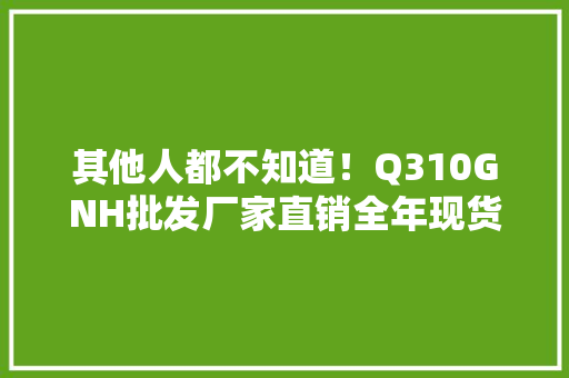其他人都不知道！Q310GNH批发厂家直销全年现货交货及时