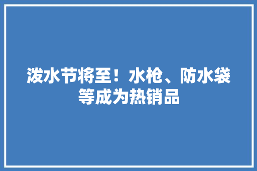 泼水节将至！水枪、防水袋等成为热销品