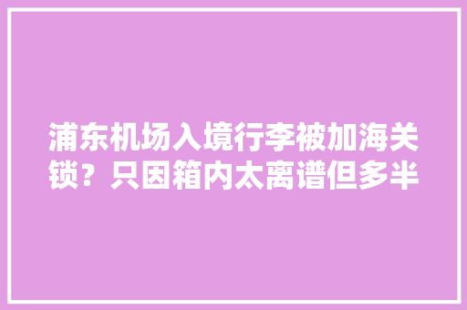 浦东机场入境行李被加海关锁？只因箱内太离谱但多半乘客可“免过机”直接走