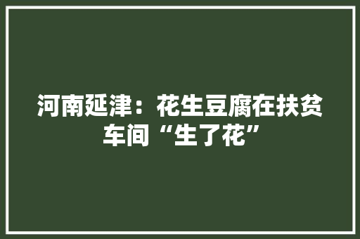 河南延津：花生豆腐在扶贫车间“生了花”