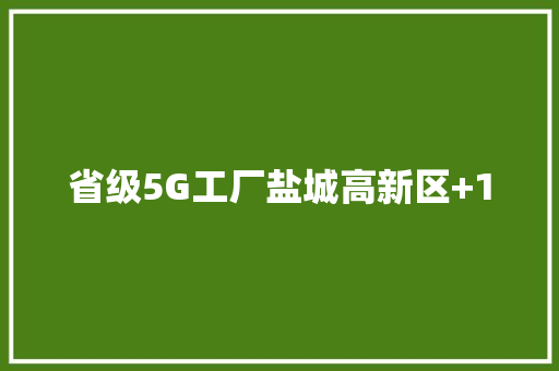 省级5G工厂盐城高新区+1