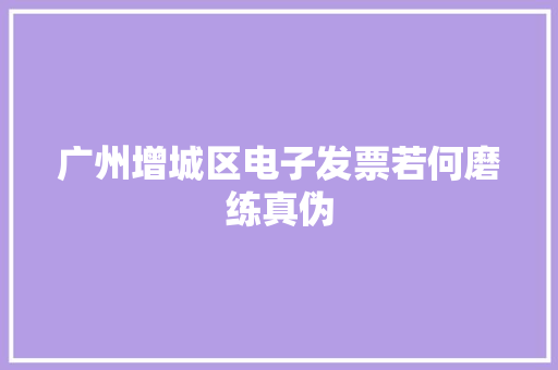广州增城区电子发票若何磨练真伪