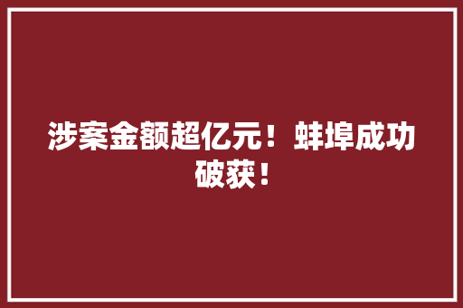 涉案金额超亿元！蚌埠成功破获！