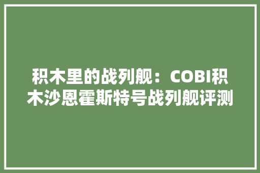 积木里的战列舰：COBI积木沙恩霍斯特号战列舰评测