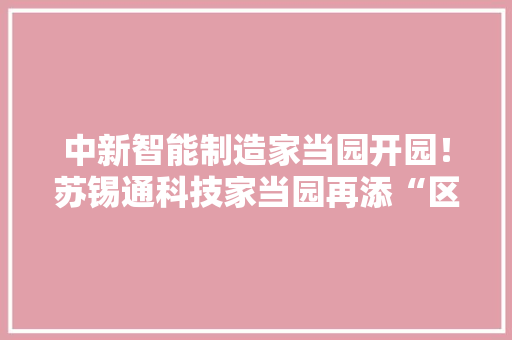 中新智能制造家当园开园！苏锡通科技家当园再添“区中园”