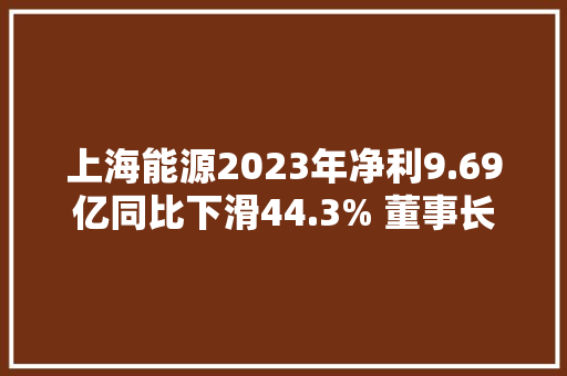 上海能源2023年净利9.69亿同比下滑44.3% 董事长毛中华薪酬120.56万