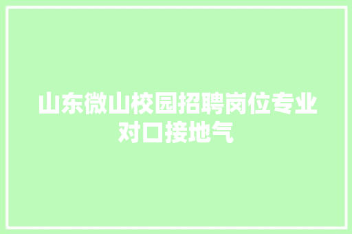 山东微山校园招聘岗位专业对口接地气