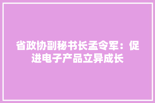 省政协副秘书长孟令军：促进电子产品立异成长