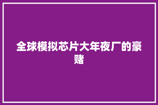 全球模拟芯片大年夜厂的豪赌