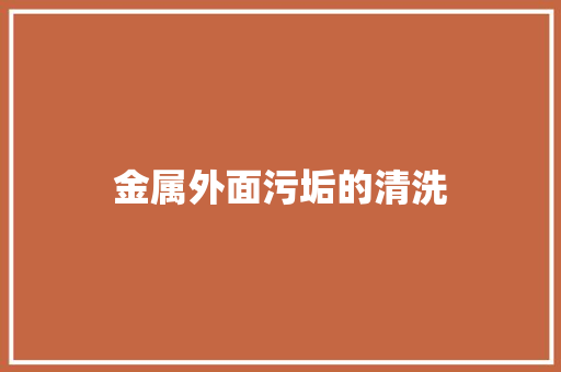 金属外面污垢的清洗