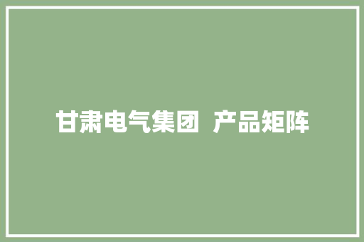 甘肃电气集团  产品矩阵