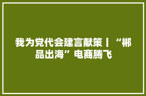 我为党代会建言献策丨“郴品出海”电商腾飞