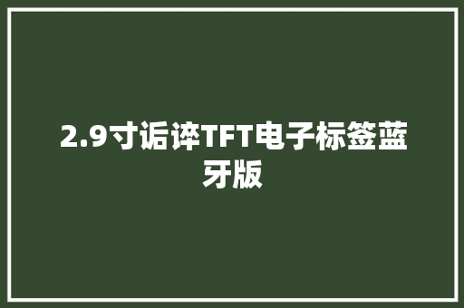 2.9寸诟谇TFT电子标签蓝牙版