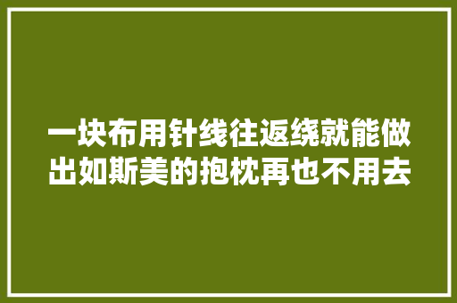 一块布用针线往返绕就能做出如斯美的抱枕再也不用去外面买