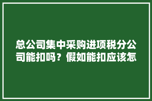 总公司集中采购进项税分公司能扣吗？假如能扣应该怎么扣？