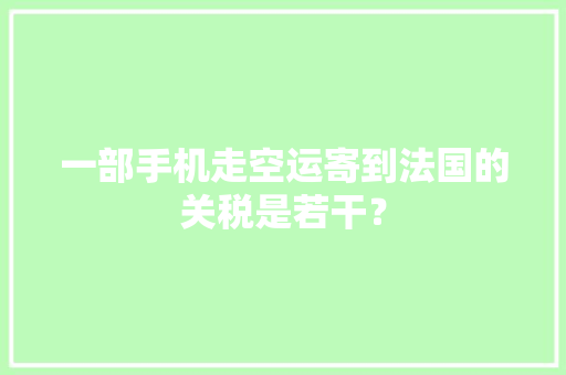 一部手机走空运寄到法国的关税是若干？