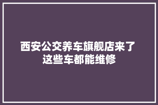 西安公交养车旗舰店来了 这些车都能维修
