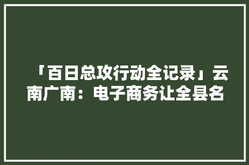 「百日总攻行动全记录」云南广南：电子商务让全县名品走的更远