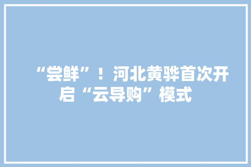 “尝鲜”！河北黄骅首次开启“云导购”模式