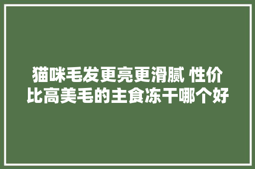 猫咪毛发更亮更滑腻 性价比高美毛的主食冻干哪个好