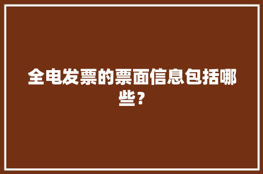全电发票的票面信息包括哪些？