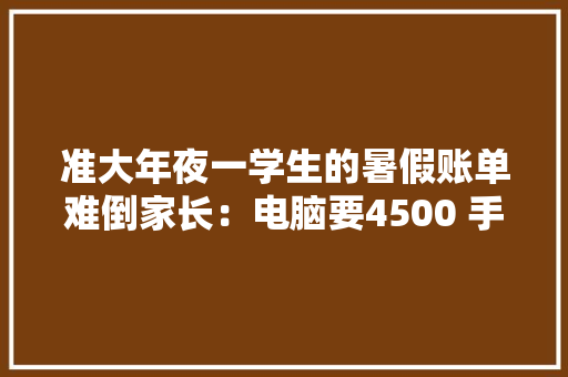 准大年夜一学生的暑假账单难倒家长：电脑要4500 手机要6000