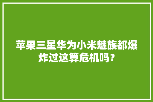 苹果三星华为小米魅族都爆炸过这算危机吗？