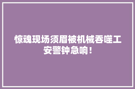 惊魂现场须眉被机械吞噬工安警钟急响！