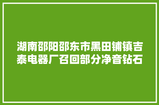 湖南邵阳邵东市黑田铺镇吉泰电器厂召回部分净音钻石牌鸟笼型取暖器