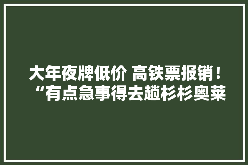 大年夜牌低价 高铁票报销！“有点急事得去趟杉杉奥莱”