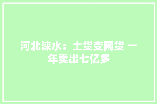 河北涞水：土货变网货 一年卖出七亿多