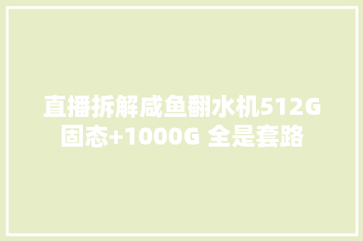 直播拆解咸鱼翻水机512G固态+1000G 全是套路