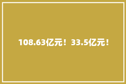 108.63亿元！33.5亿元！