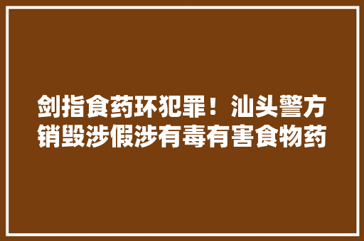 剑指食药环犯罪！汕头警方销毁涉假涉有毒有害食物药品2.3吨