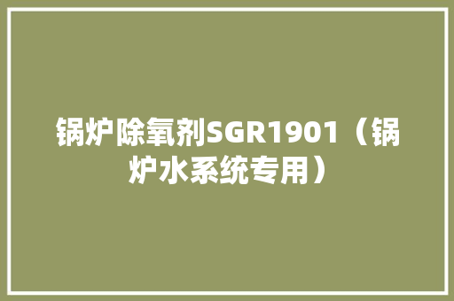 锅炉除氧剂SGR1901（锅炉水系统专用）