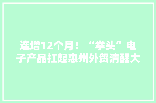 连增12个月！“拳头”电子产品扛起惠州外贸清醒大年夜旗