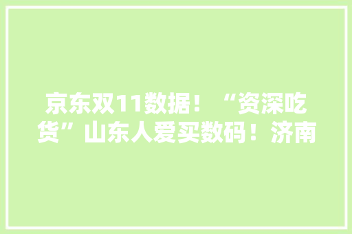 京东双11数据！“资深吃货”山东人爱买数码！济南人“剁手”全省第一
