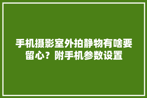 手机摄影室外拍静物有啥要留心？附手机参数设置